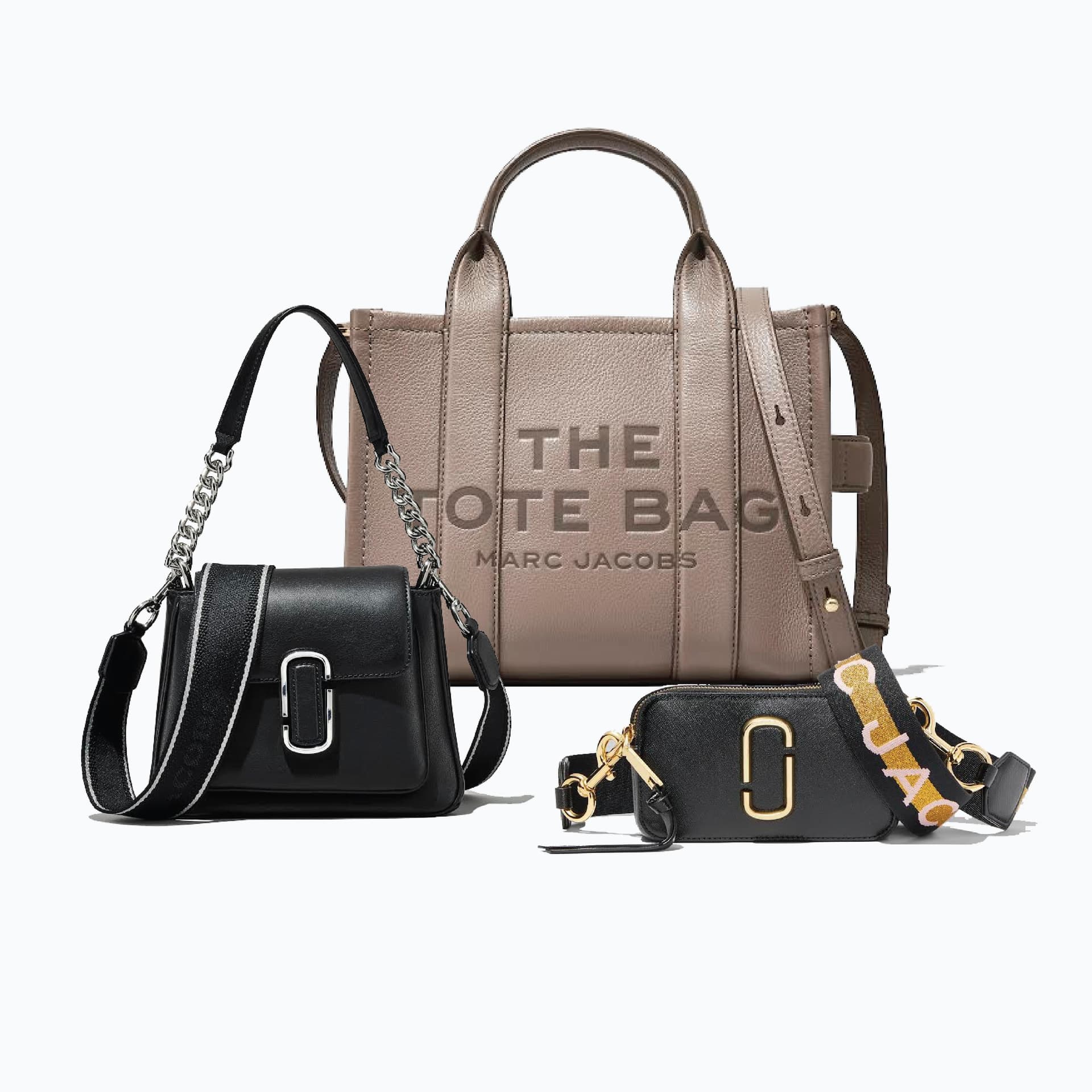 Mini Chain/Small Tote/Snapshot