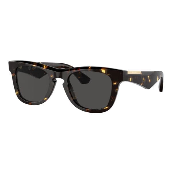 BE4426 Sunglasses