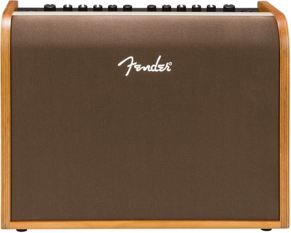 Acoustic 100 - 100 Watt Acoustic Amp