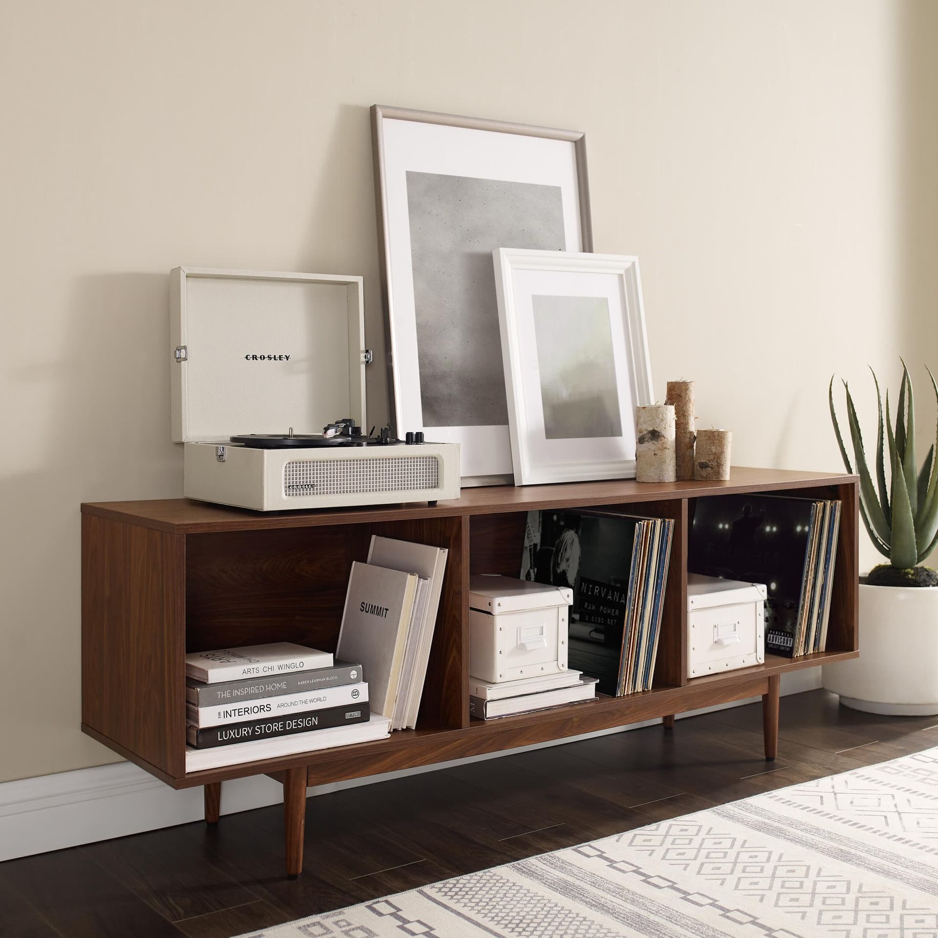 Liam Large Record Storage Console Cabinet