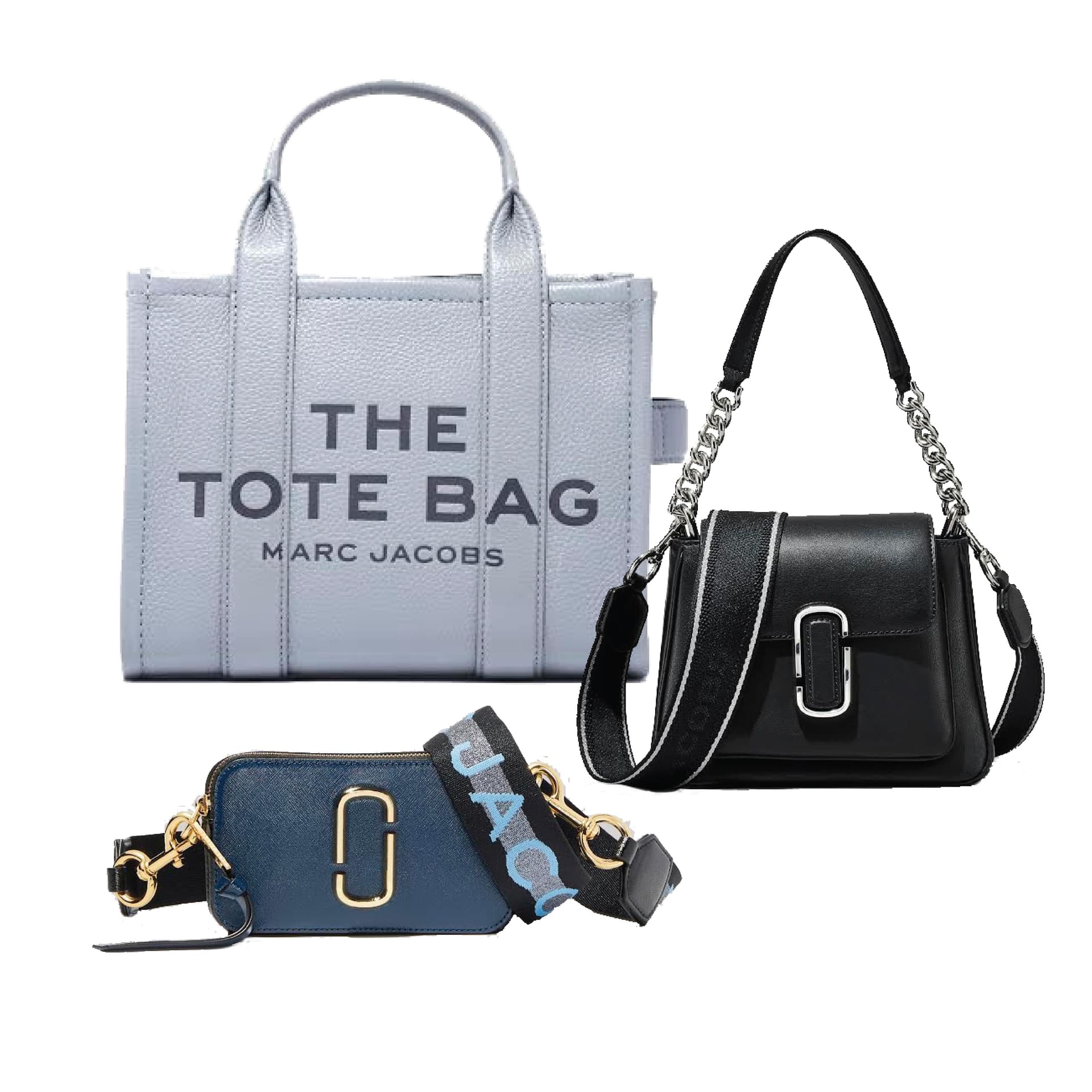 Mini Chain/Small Leather Tote/Snapshot