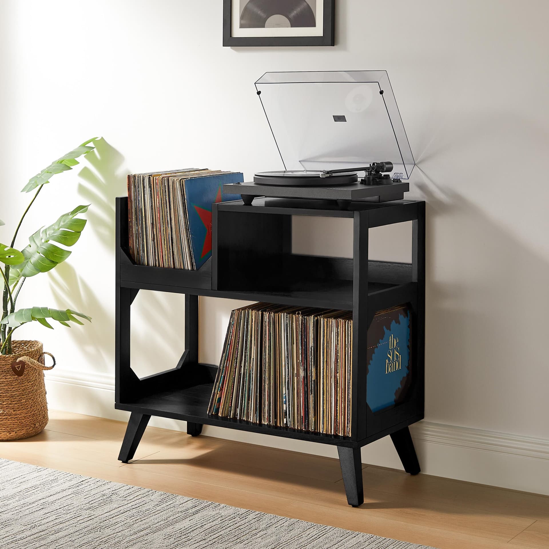 Asheville Medium Record Storage Console