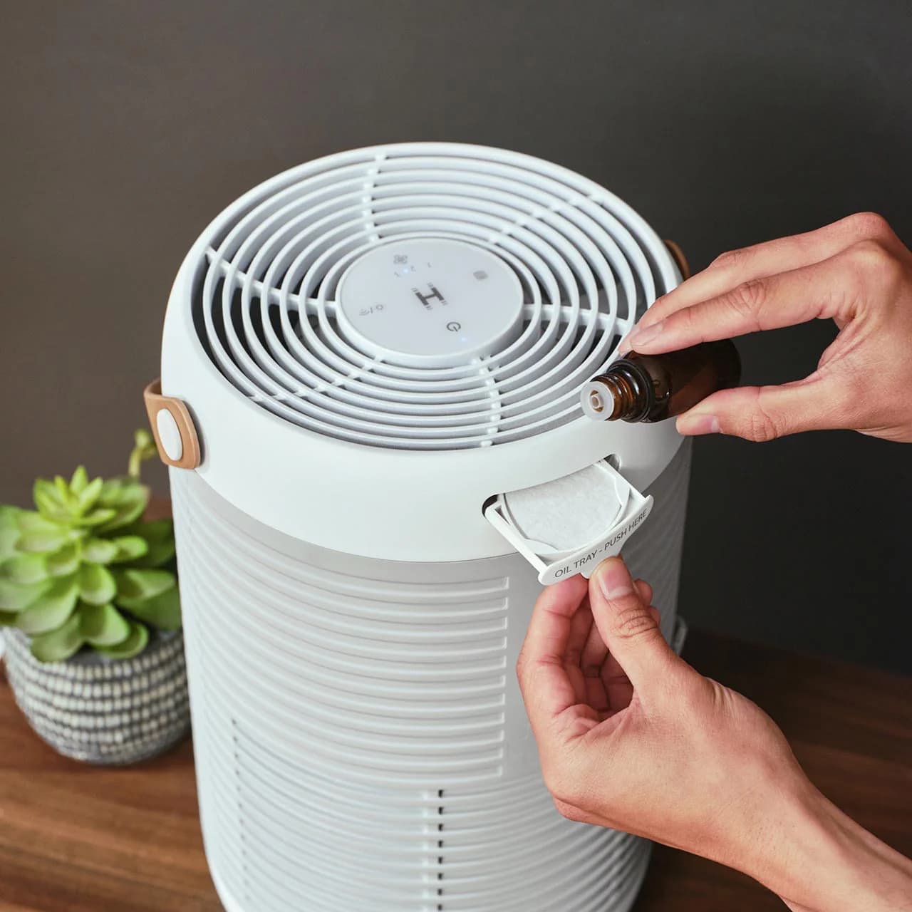 Medium Room Smart HEPA Air Purifier T100