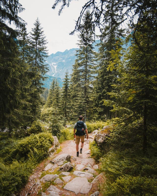 Hiking
