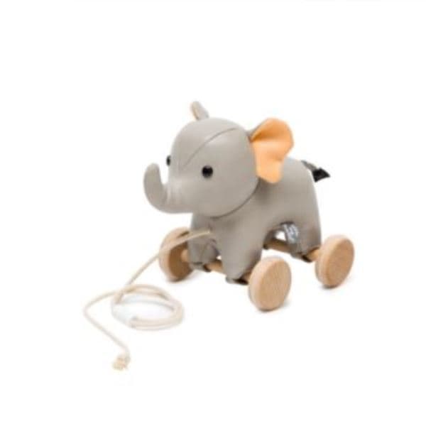Pull Along Friends - Nathan the Polar Bear