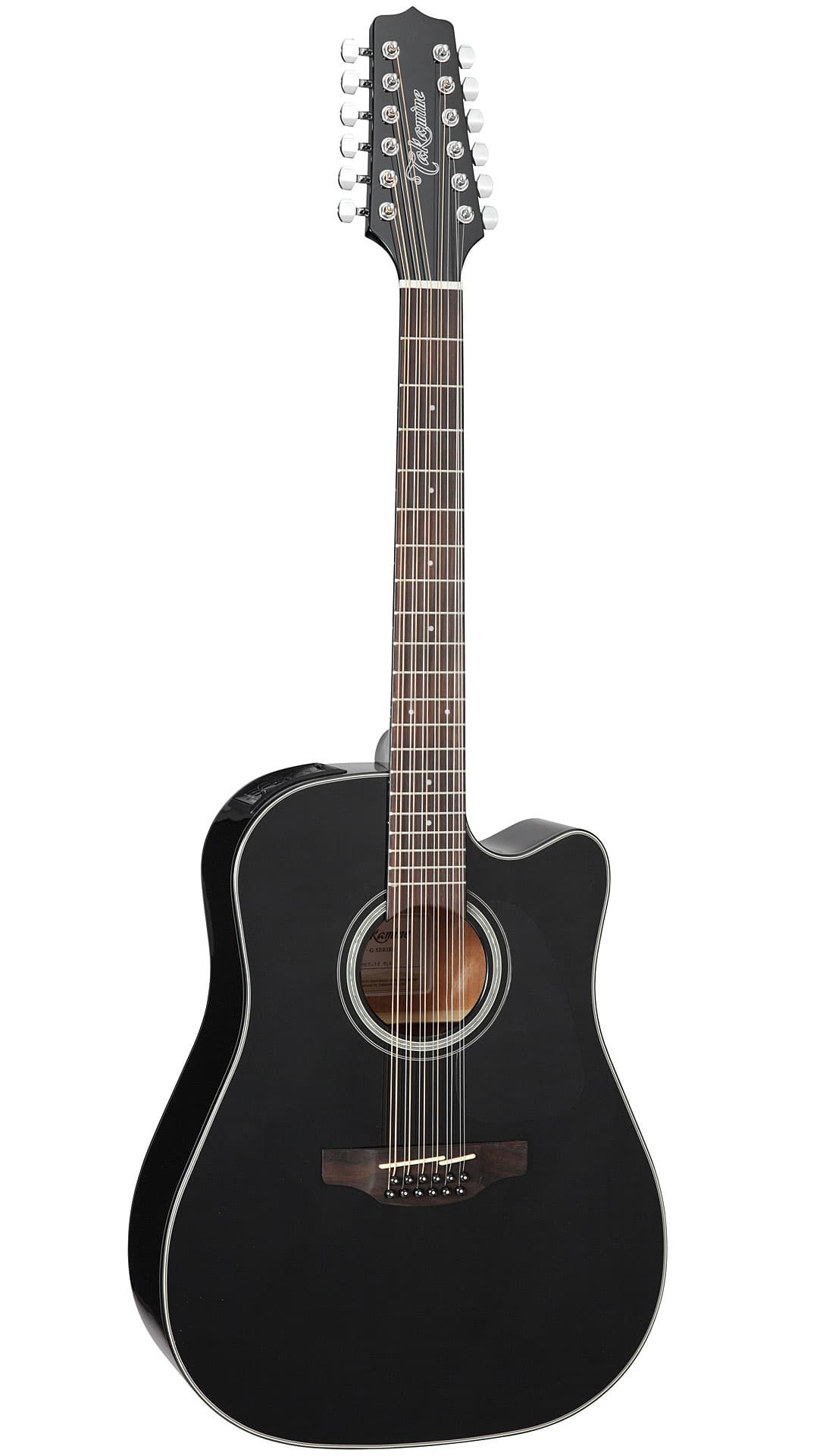 12-String Acoustic-Electric Guitar