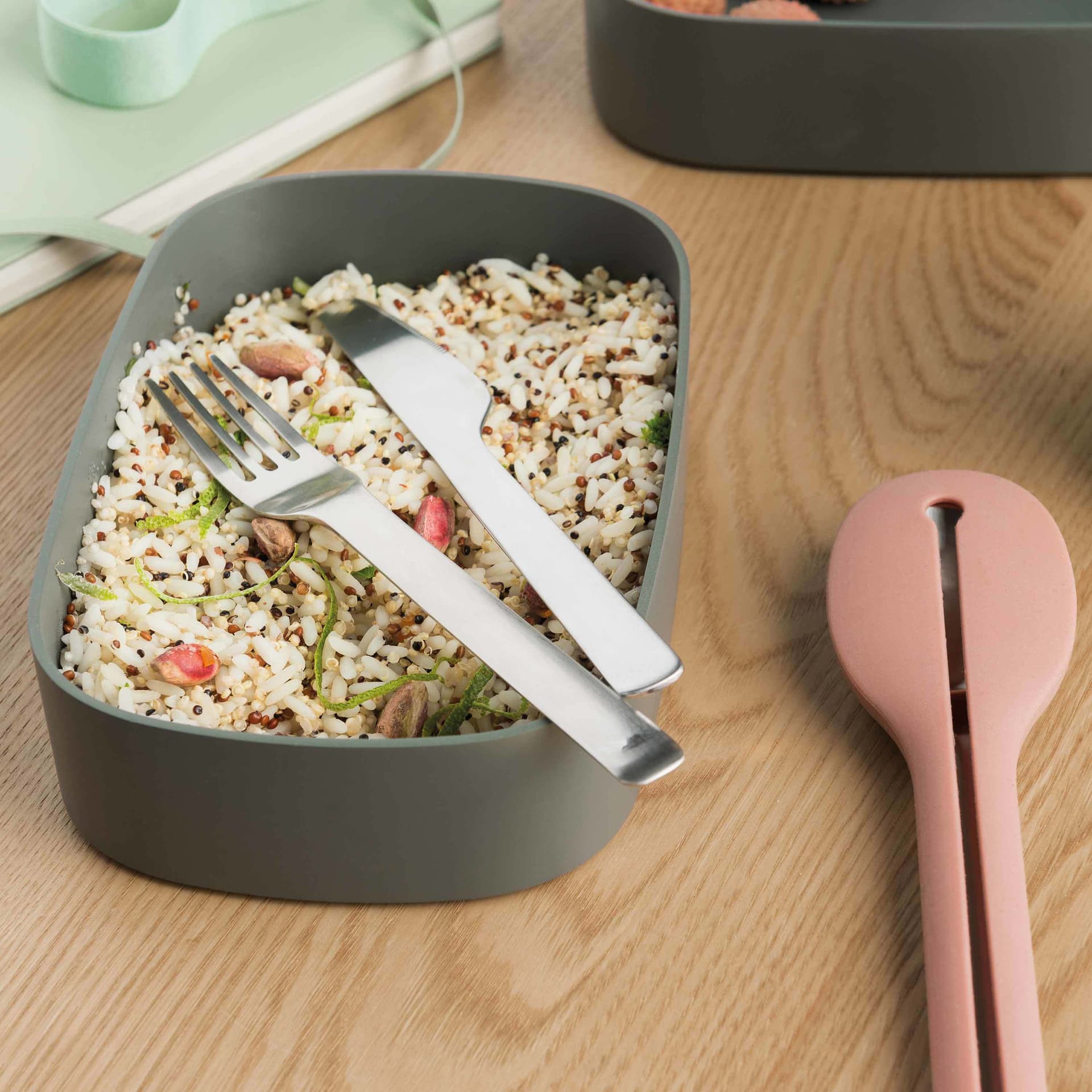Leo 3pc Dual Bento Box Set /Strap, Gray & Mint