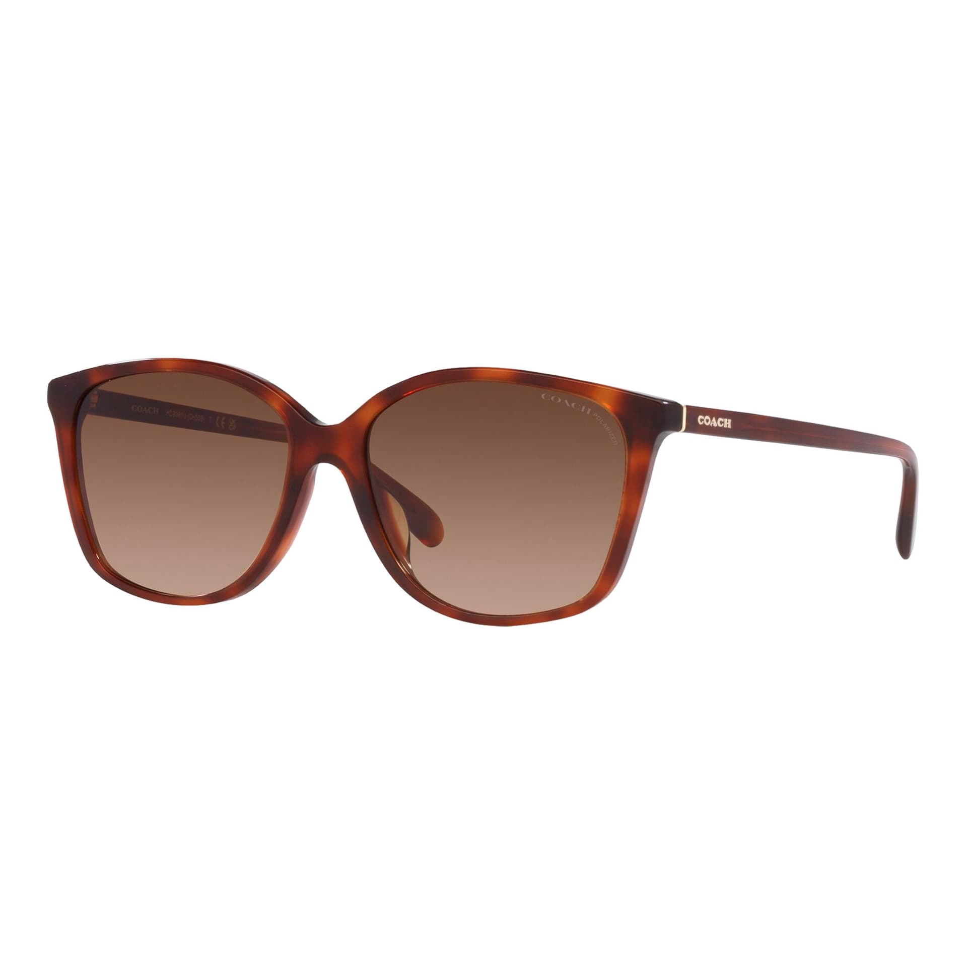Women's Polarized CH558 Sunglasses