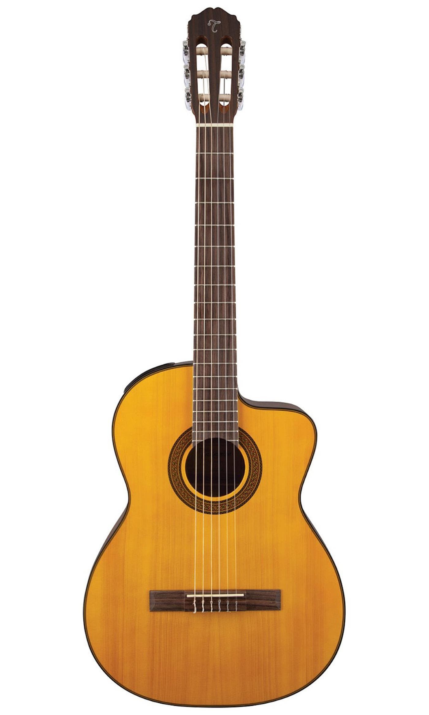 Classical Acoustic-Electric Guitar