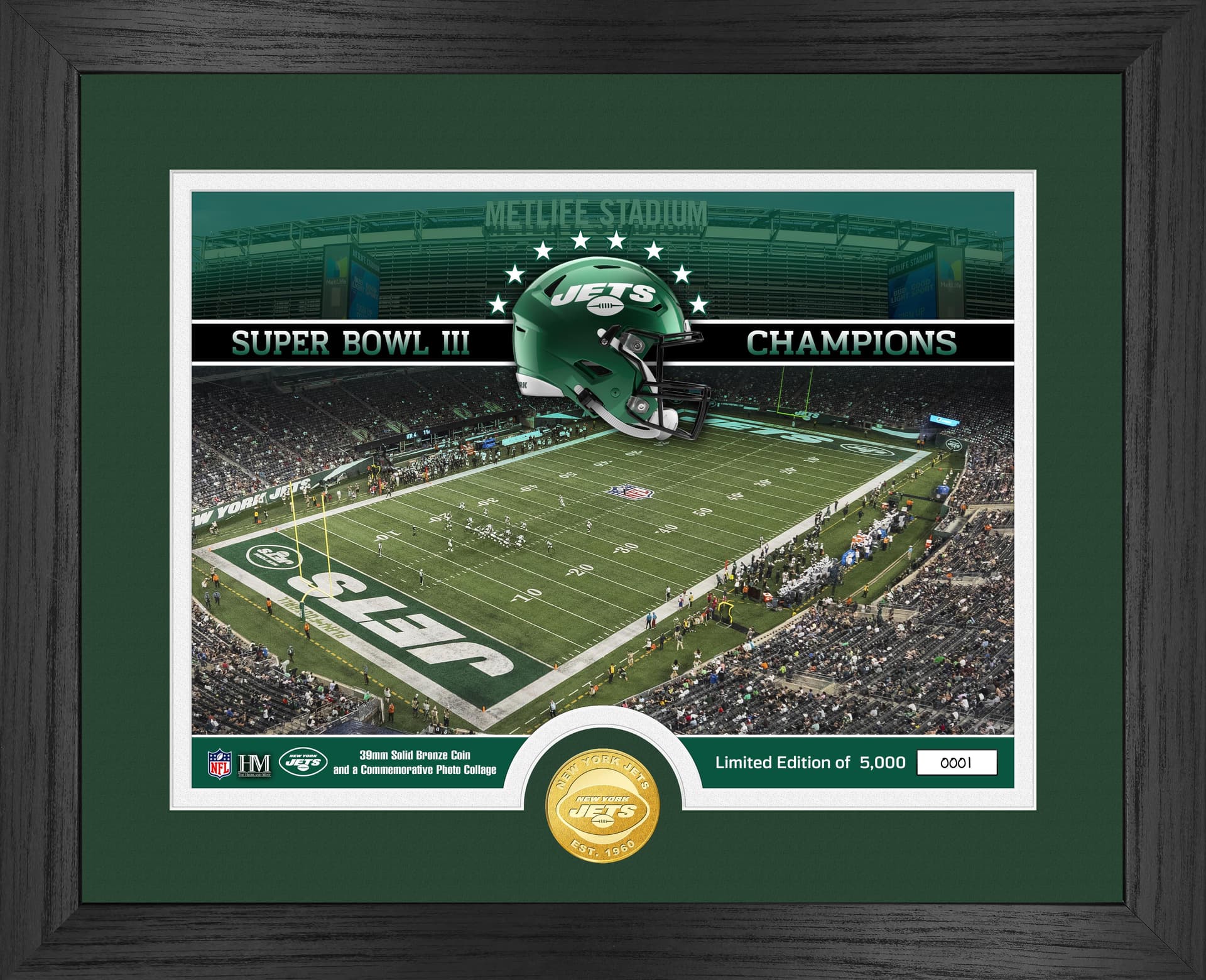 New York Jets Stadium Photo Mint