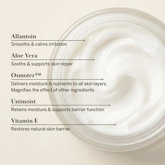 Essential Day Moisturizer - Normal To Dry Skin