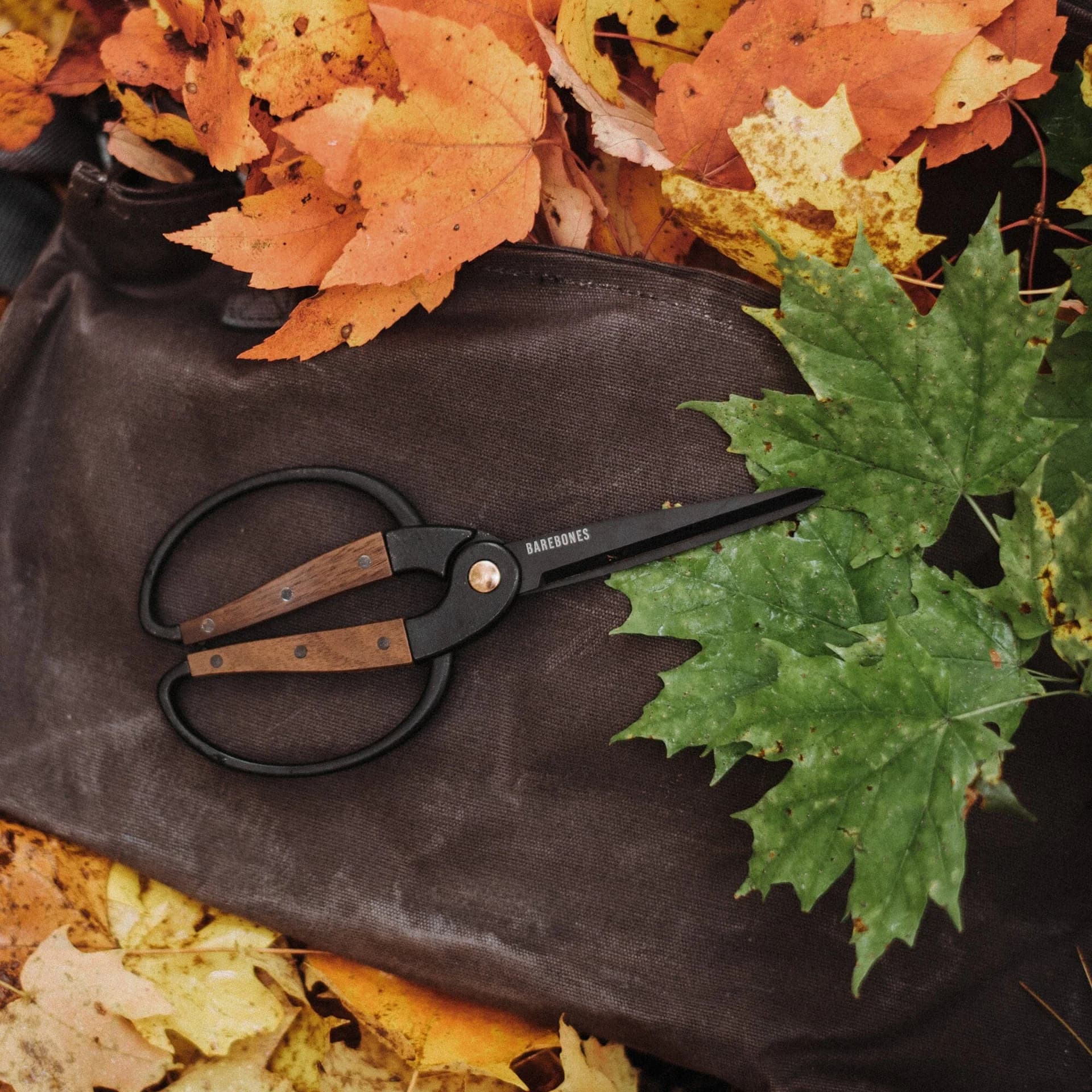 Large Garden Scissors