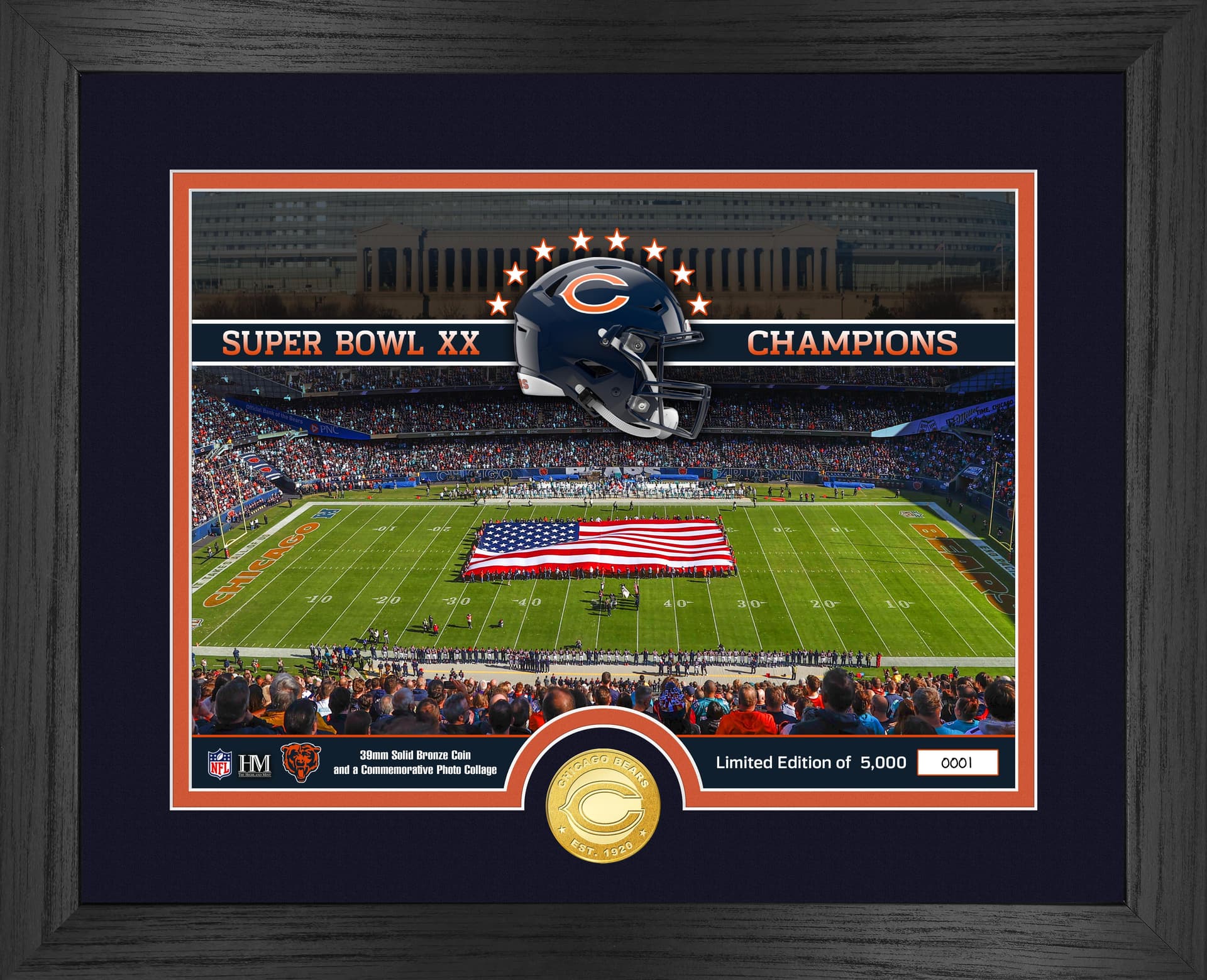 Chicago Bears Stadium Photo Mint