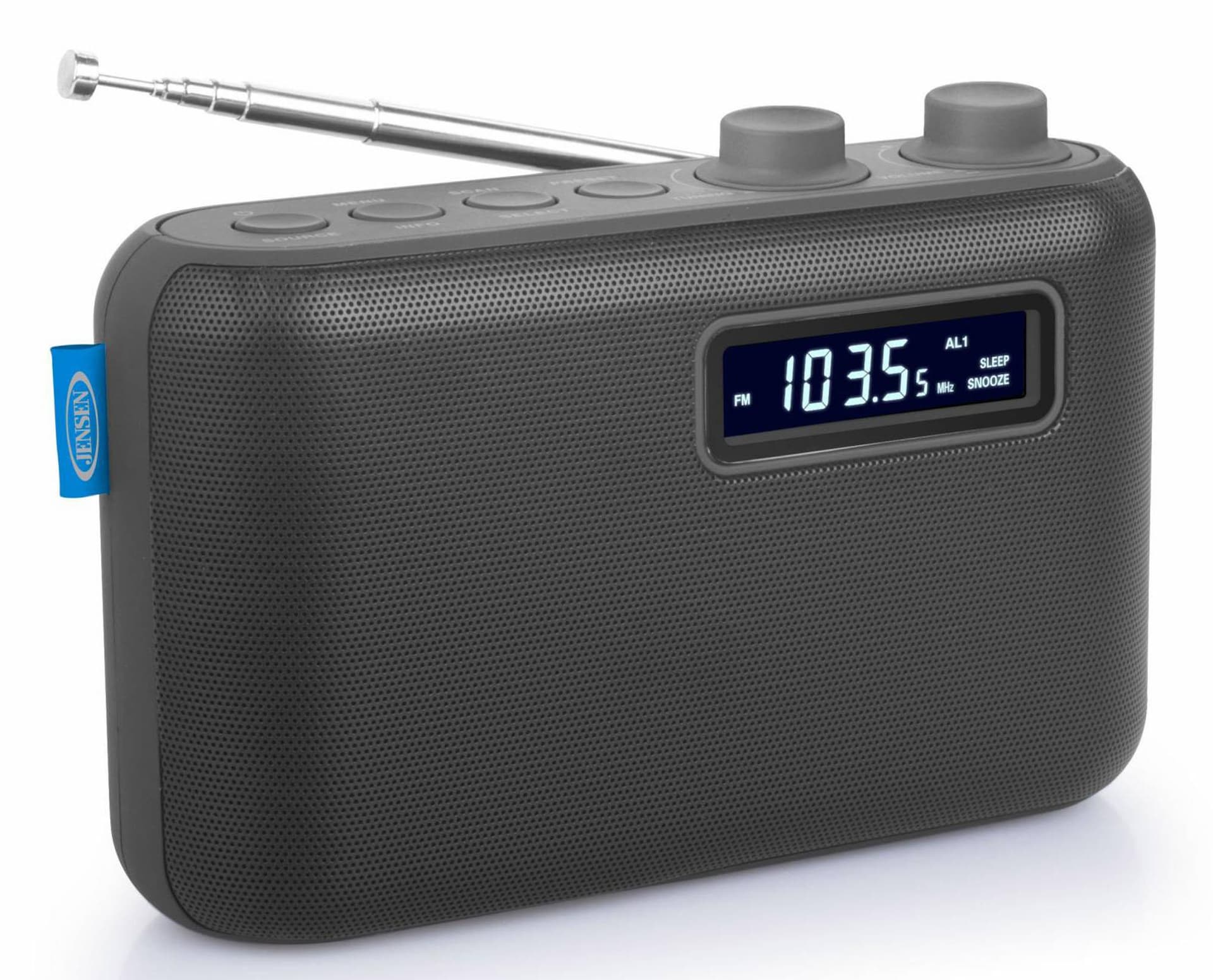 Portable AM/FM Digital Radio