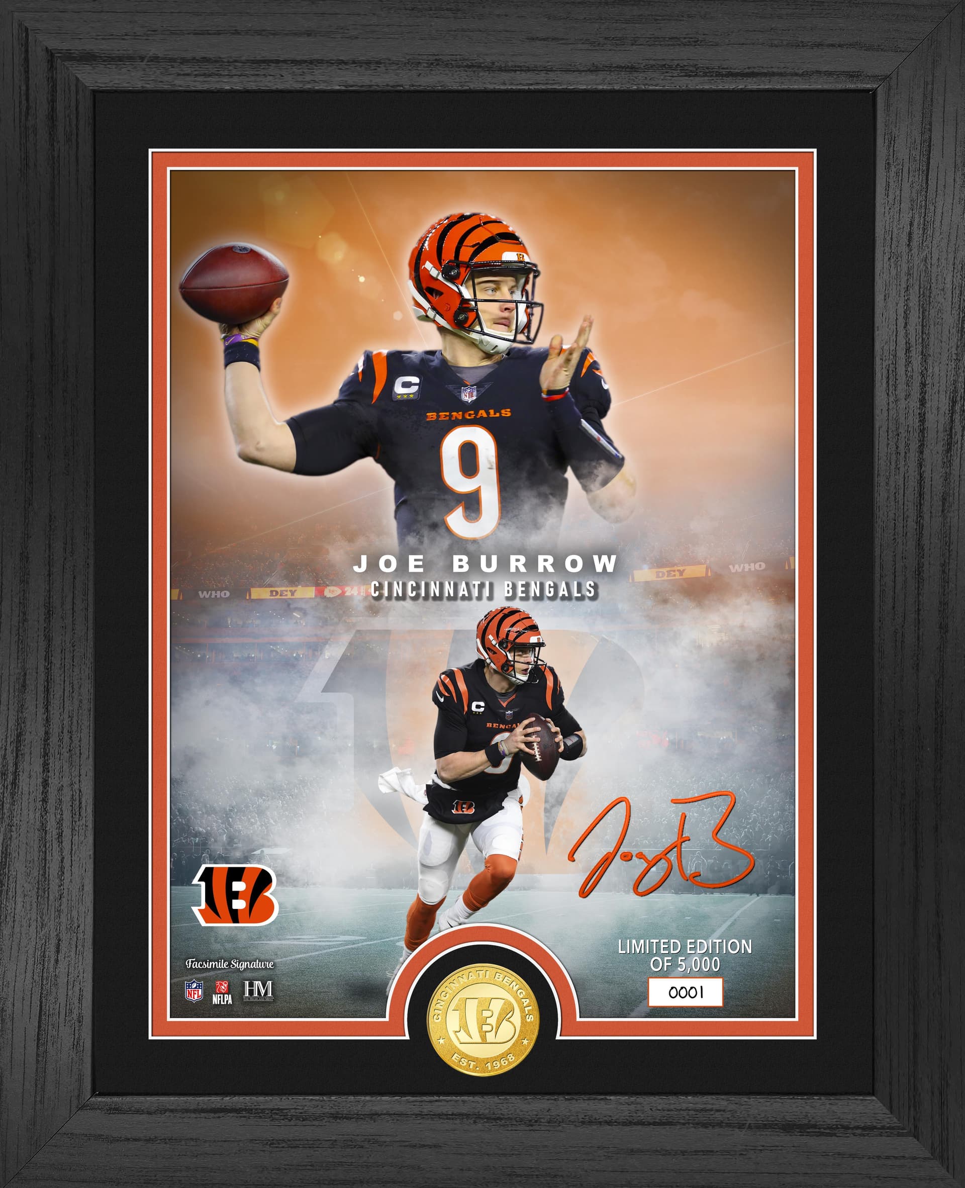 Cincinnati Bengals NFL Legends Photo Mint