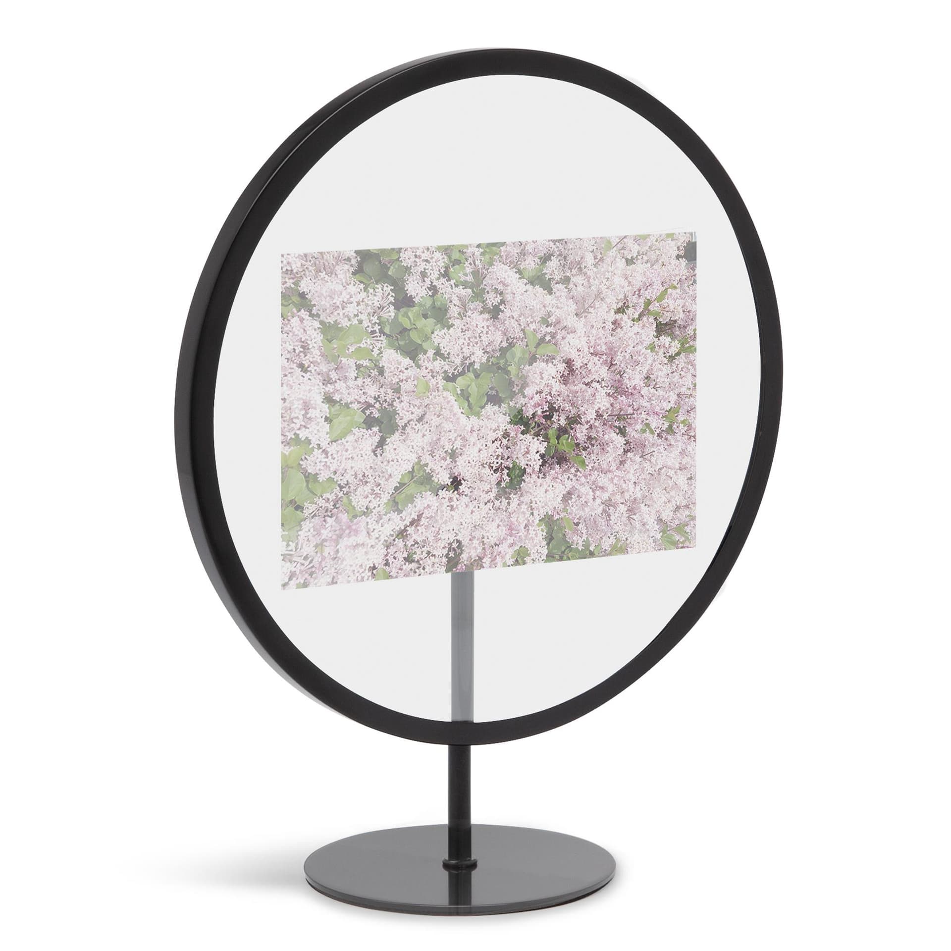 Infinity Photo Display 4X6 Black