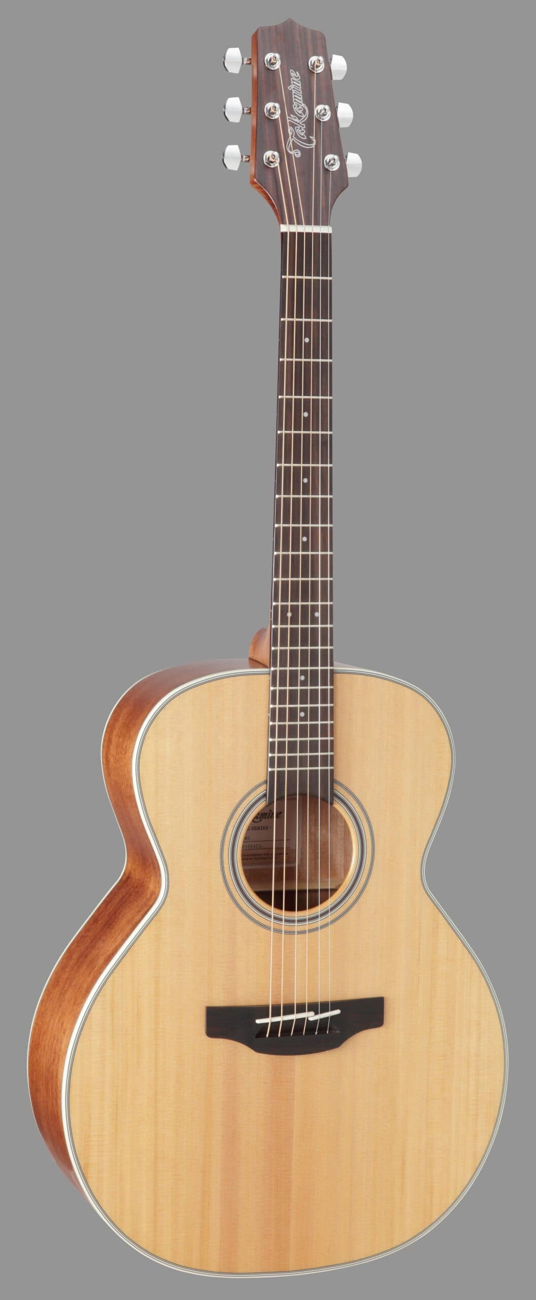 GN20 Acoustic Guitar