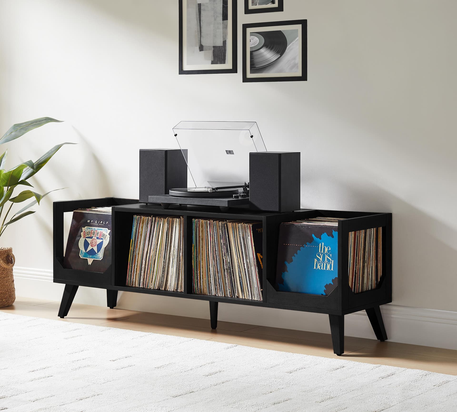 Asheville Low Record Storage Console