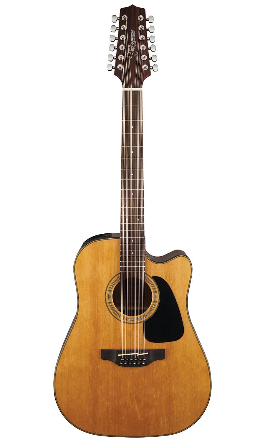 12-String Acoustic-Electric Guitar