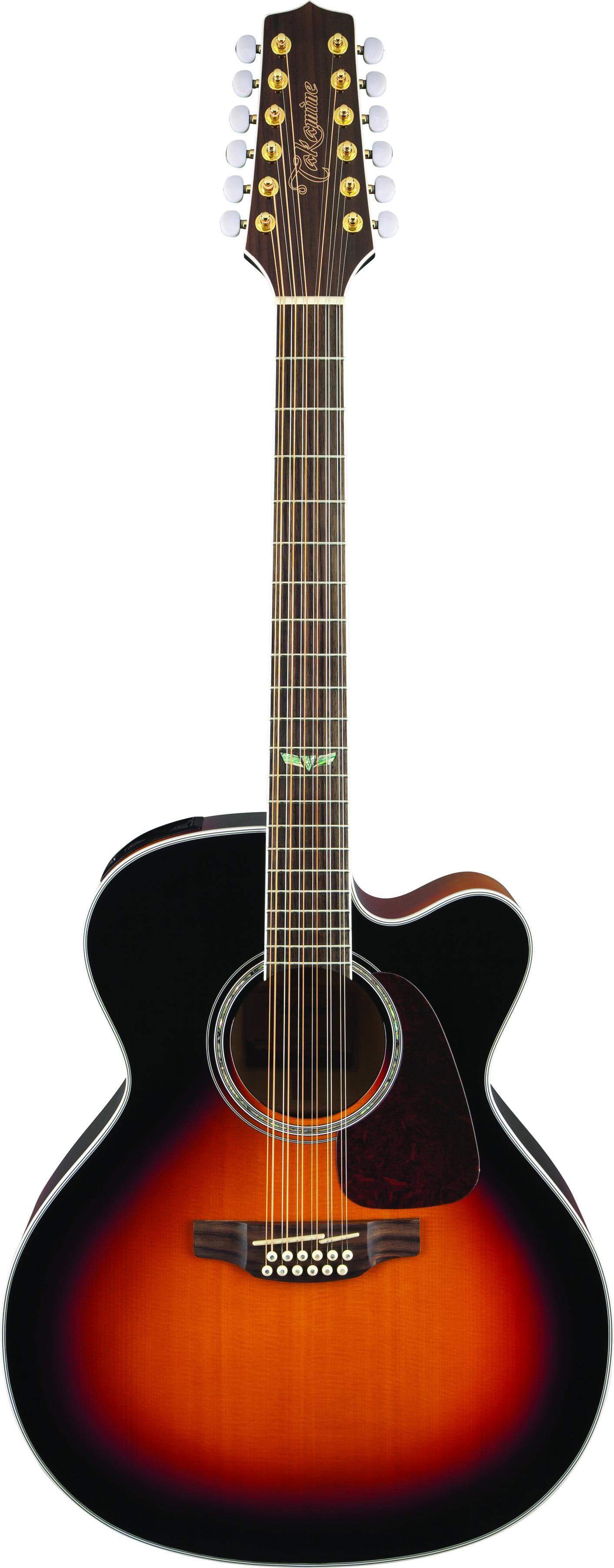12-String Acoustic-Electric Guitar