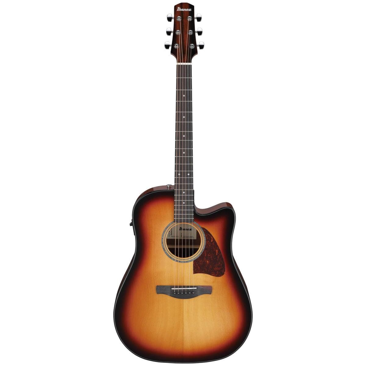 Acoustic Electric Guitar