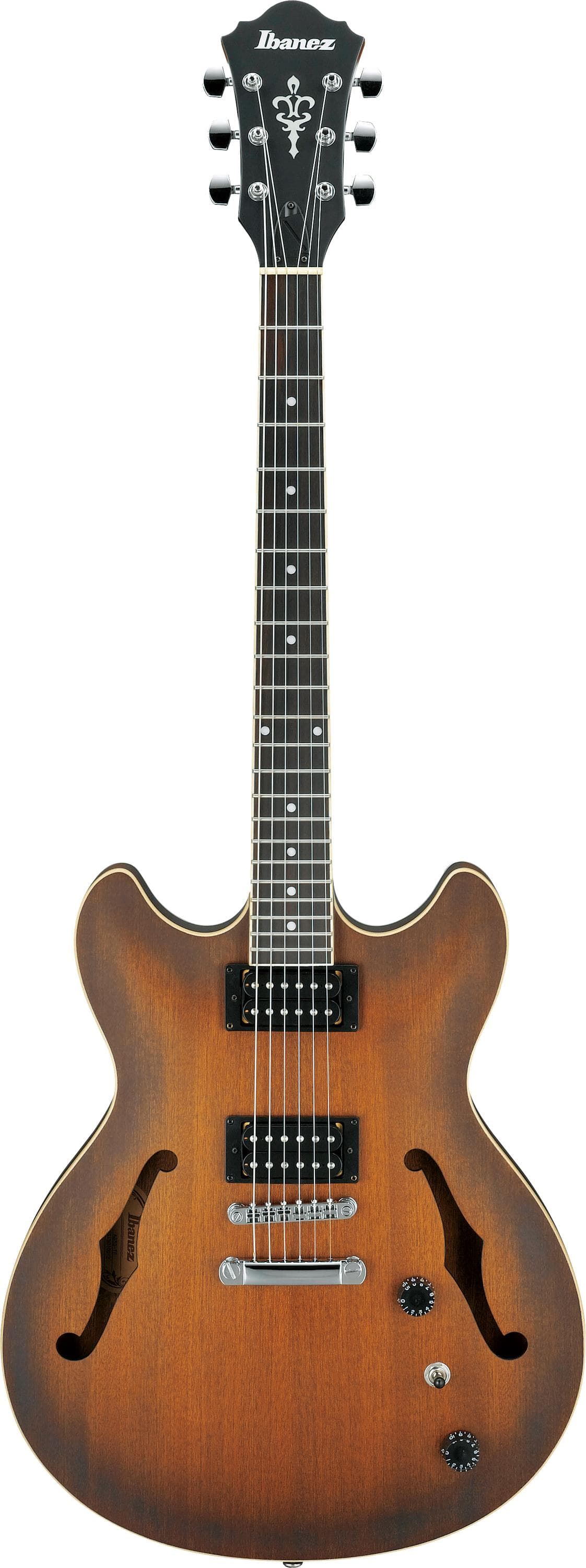 AS53 6-String Hollow-Body Electric Guitar