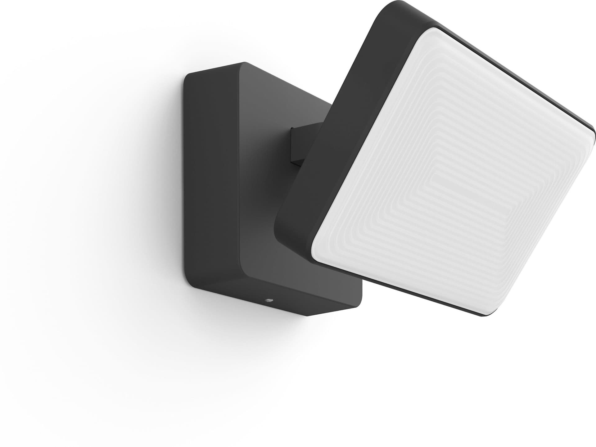 Philips Hue White & Color Ambiance Discover Outdoor Floodlight