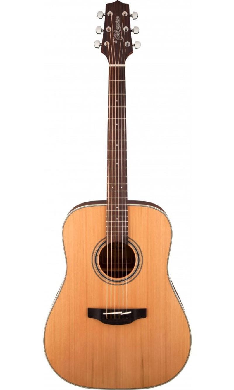 GD20 Acoustic Guitar
