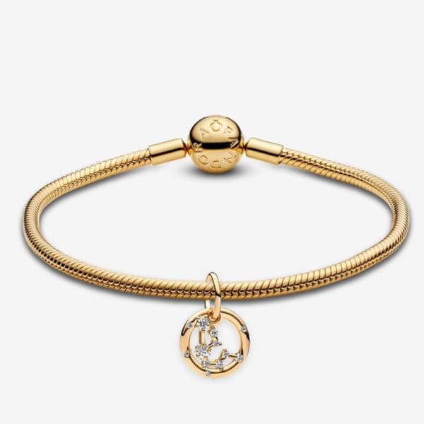 Zodiac: Aquarius Bracelet Size 7.1"