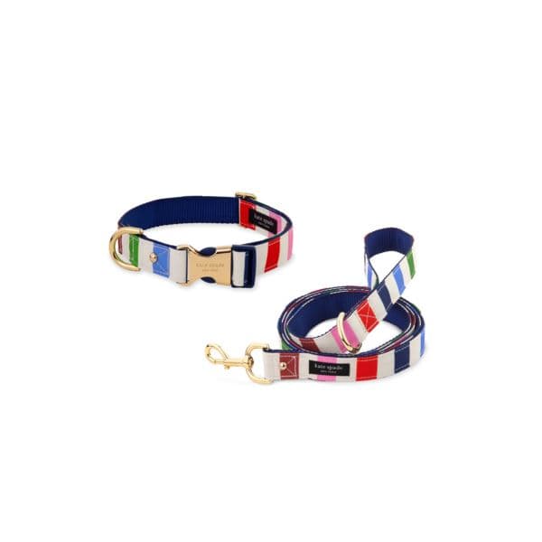 Medium/Large Collar & Leash Bundle