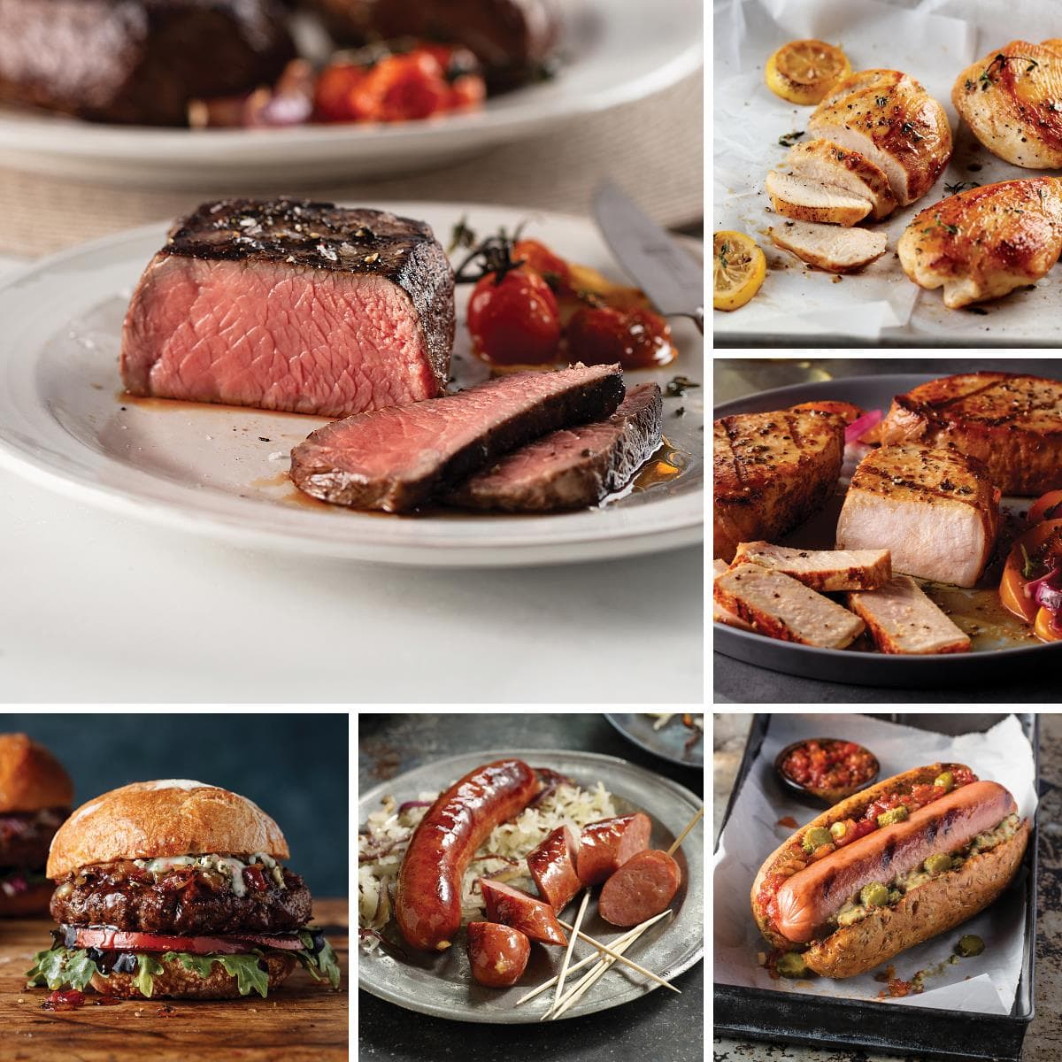 Freezer Filler Proteins