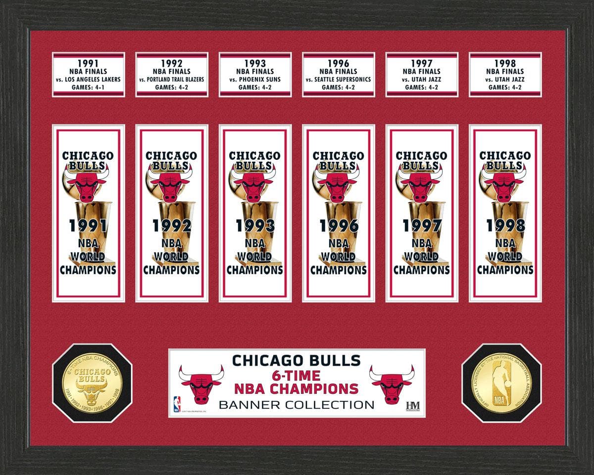 Chicago Bulls "Banner" Bronze Coin Photo Mint