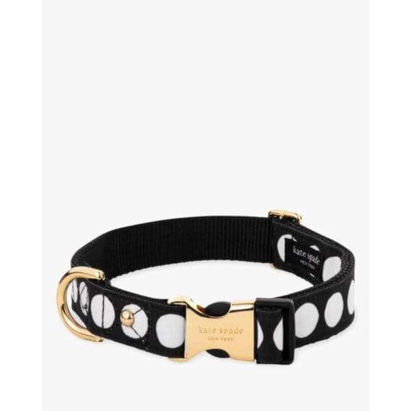 Small Dog Collar , Art Dot