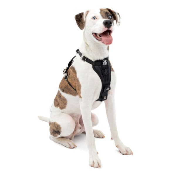 Tru-Fit Enhanced Strength Smart Harness - Medium Black