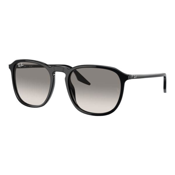 RB2203 Sunglasses