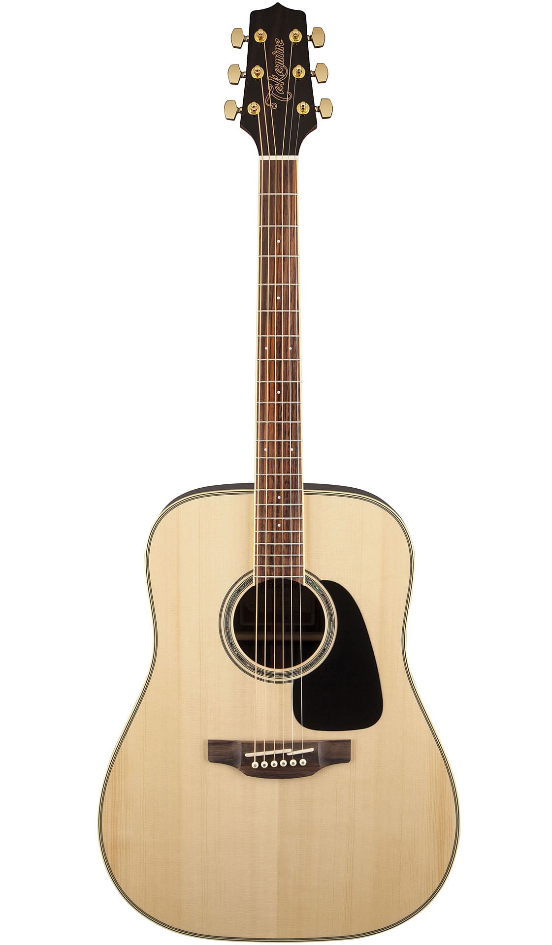 GD51 Acoustic Guitar