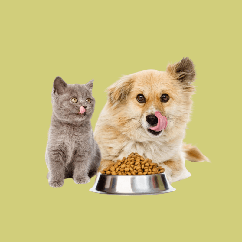 Pet Food