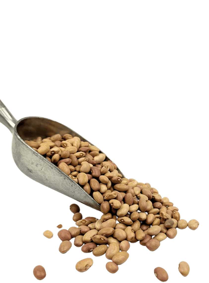 Bolita Beans - 50 lb
