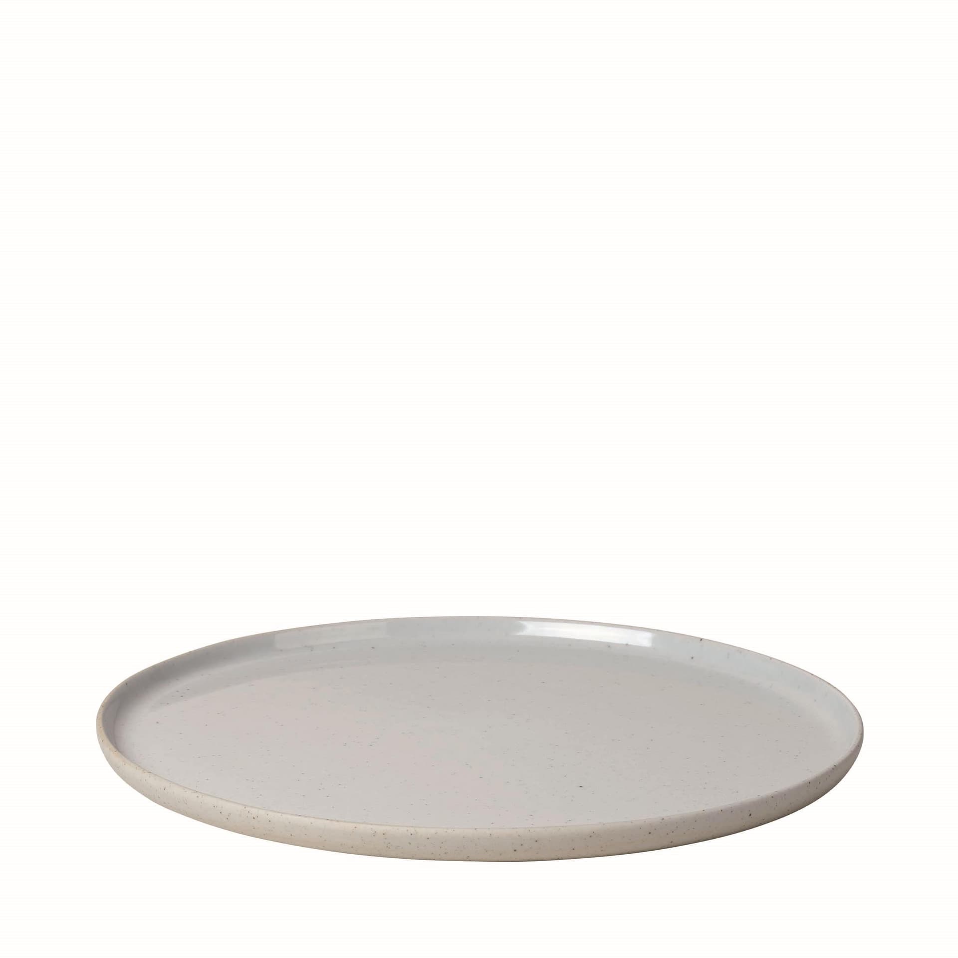 SABLO Ceramic Stoneware 10 in Dinner Plates - Set of 4