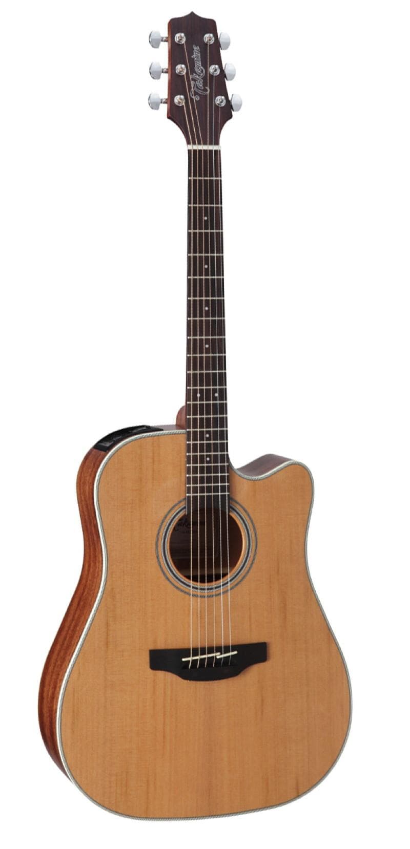 GD20CE Acoustic-Electric Guitar