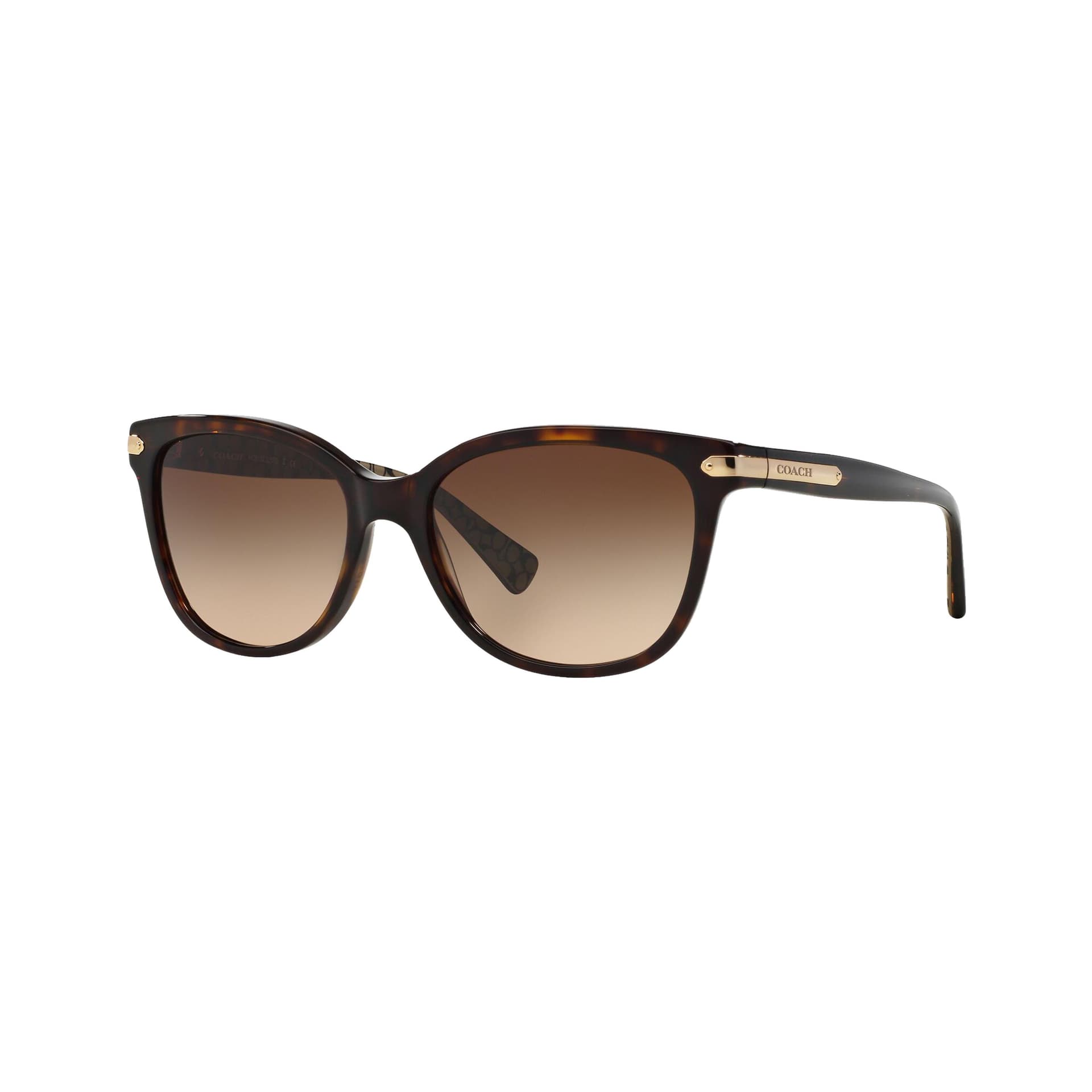 Women's HC8132 Sunglasses