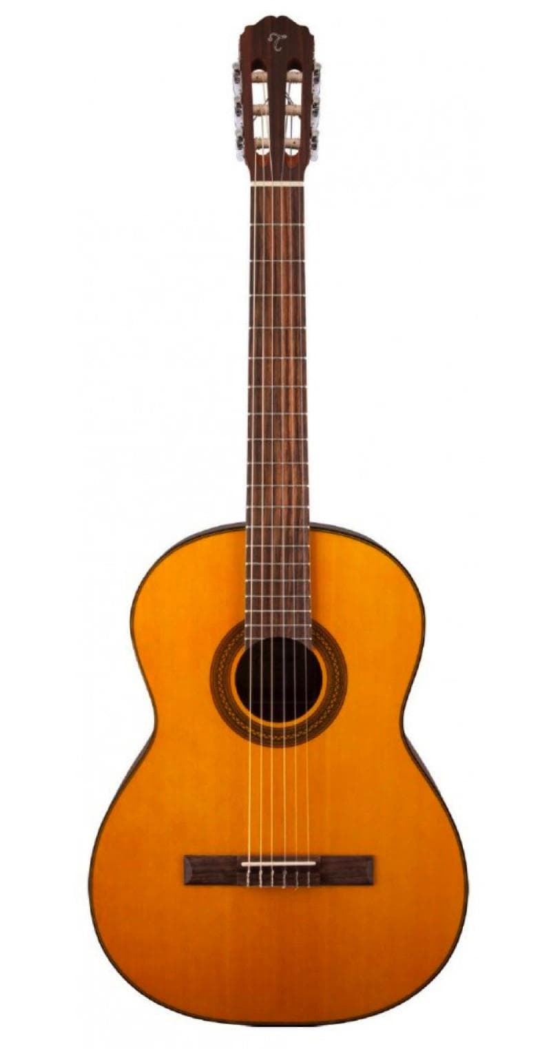 Classical Acoustic Guitar