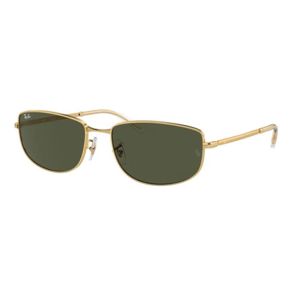 RB3732 Sunglasses