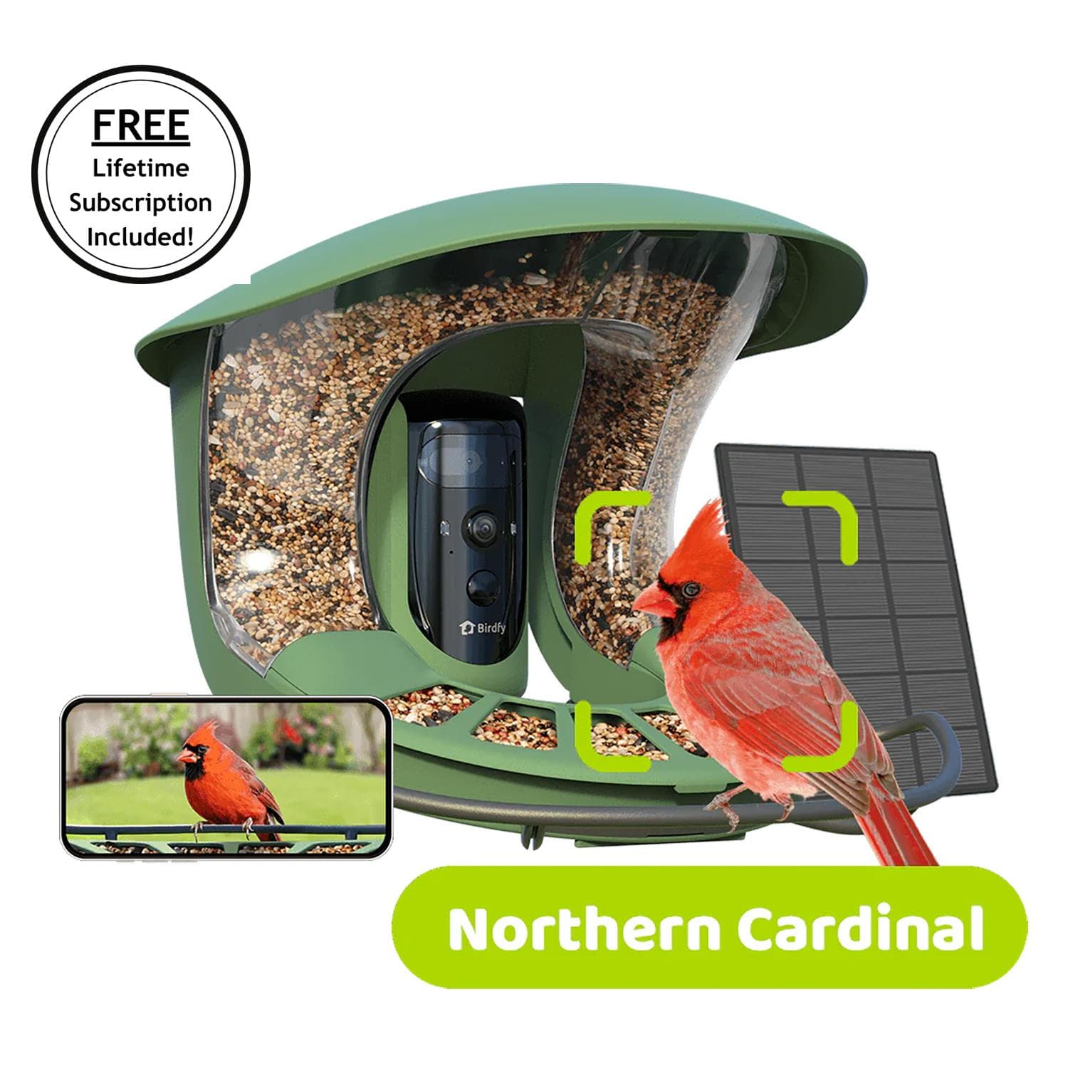 Birdfy 2 Smart Bird Feeder with Camera, 2K Portrait with Free AI Lifetime Subscription