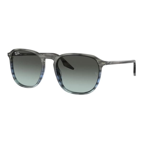 RB2203 Sunglasses