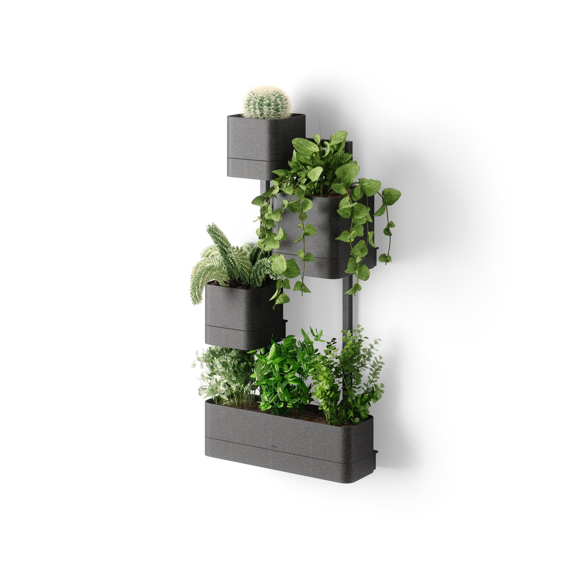 Cubiko Wall Planter Black