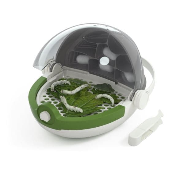 Insects Growth Station Ages 3+ Years