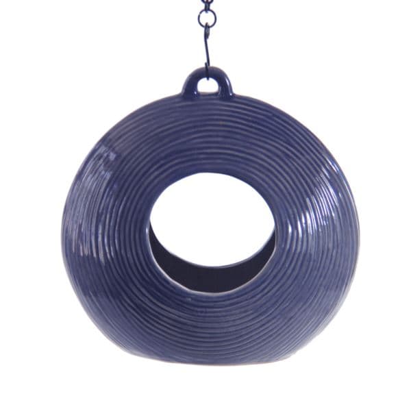 Circles Fly Through Feeder Blue