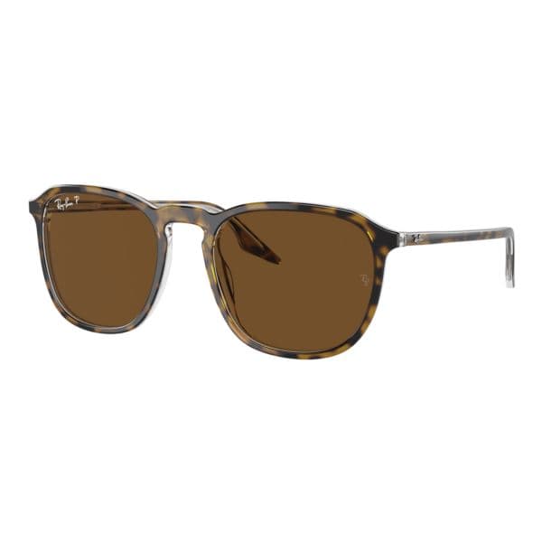 Polarized RB2203 Sunglasses