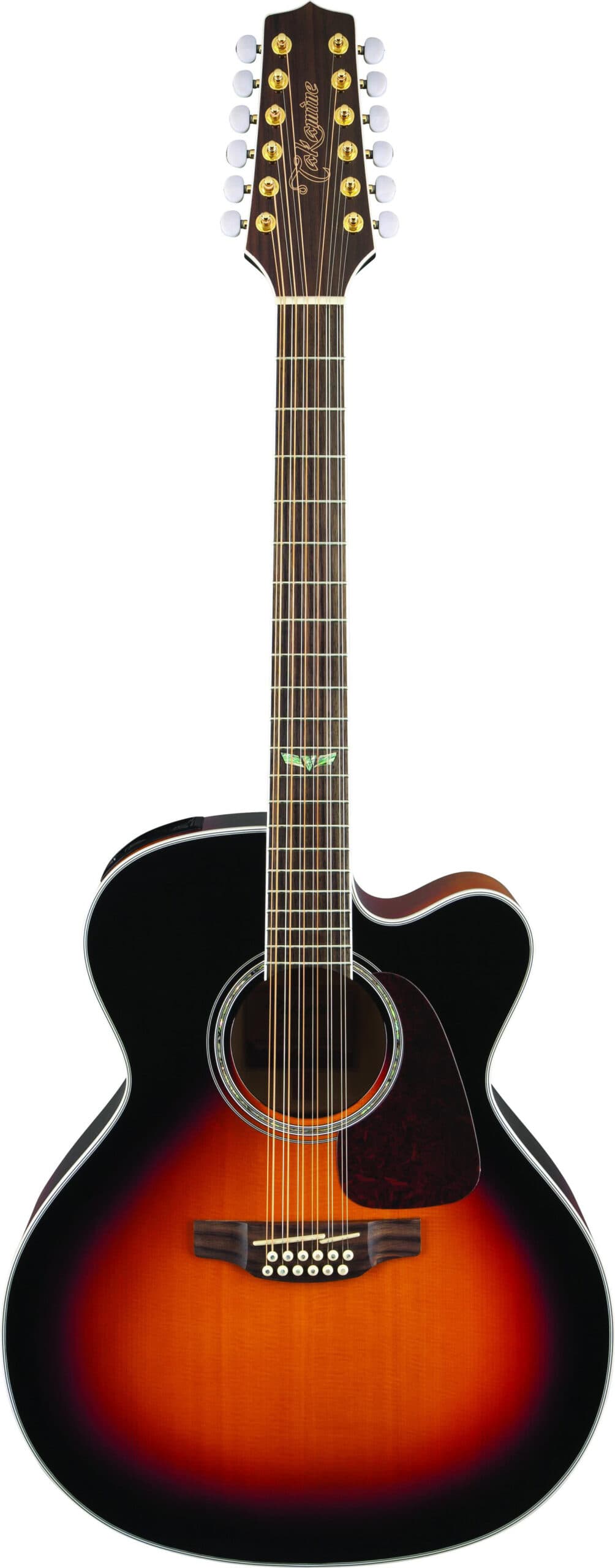 12-String Acoustic-Electric Guitar